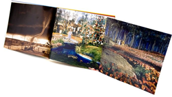 OZ Illustrated Companion
