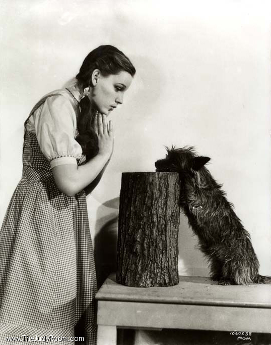 dorothy-toto.jpg